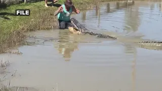 Happy Birthday! Gator Country's 'Big Al' turns 92