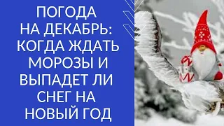 ПОГОДА НА ДЕКАБРЬ: КОГДА ЖДАТЬ МОРОЗЫ И ВЫПАДЕТ ЛИ СНЕГ НА НОВЫЙ ГОД