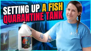 The WHY and HOW to a Quarantine Tank for Freshwater Fish