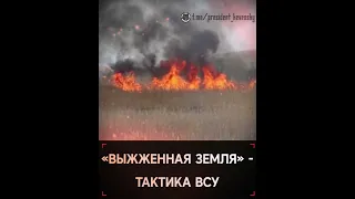 Выжженная земля - тактика ВСУ.