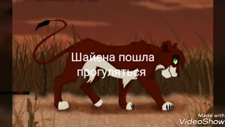 История шайены