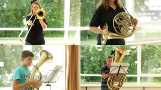 Das Tiefe Blech (Posaune, Tenorhorn, Horn und Tuba) kurz vorgestellt....