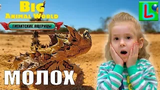 BIG ANIMAL WORLD ГИГАНТСКИЕ ЯЩЕРИЦЫ МОЛОХ игрушки как ДЕАГОСТИНИ DEAGOSTINI распаковка