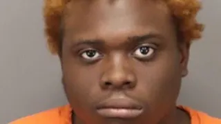 MAN ARRESTED FOR CHICKEN BATTERY ASSAULT ON HIS SISTER