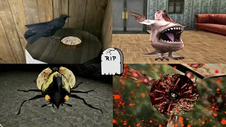 Creepy Pets #1 | Evil nun's Gummy vs Granny's crow vs Grandpa's Octopus vs Bob & Buck's Giant Beetle