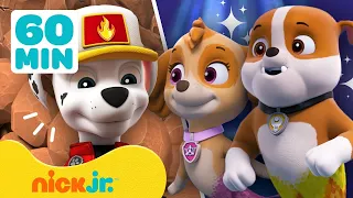 ¡Rescates en tierra y mar de PAW Patrol! Con Zuma, Chase y Tracker | Compilación de 60 minutos