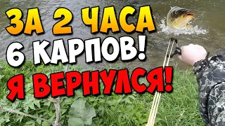 Новая рогатка для охоты в действии | 6 Карпов за пару часов! #11