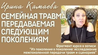 Ирина Камаева. Семейная травма, передаваемая следующим поколениям.