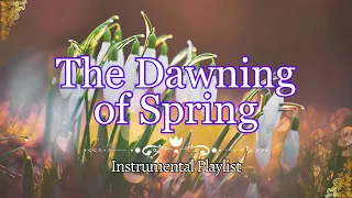 The Dawning of Spring--Spring Ambience—Classical Background Music