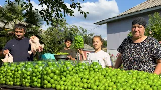 HARVESTING PLUMS AND FRESH BEANS IN THE VILLAGE! GRANDMA COOKING TANDOORI AND VEGETABLE BREAD