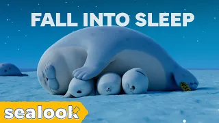 Silent Episodes Only : Watch This at NightㅣSEALOOKㅣEpisodes Compilation