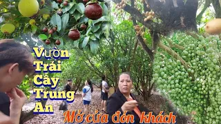 Vườn trái cây Trung An đón khách du lịch | mùa trái cây Việt Nam | tham quan vườn sinh thái củ chi.