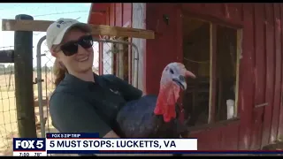Lucketts highlights from the Fox 5 Zip Trip in 2022