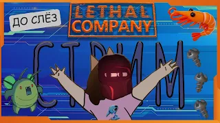 РОЗЫГРЫШ №2 И СТРИМ С ПОДПИСЧИКАМИ ► Lethal Company