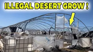 Illegal Grow FOUND In Mojave Desert California #explore #urbex #illegal #abandoned #desert
