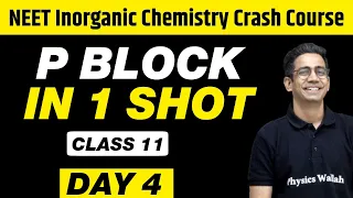 P BLOCK in 1 Shot - All Concepts, Tricks & PYQs | Class 11 | NEET