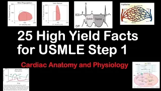 25 High Yield Facts for USMLE Step 1/COMLEX Level 1: Cardio Anatomy and Physiology