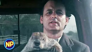 Don't Drive Angry | Groundhog Day (1993) | Now Playing