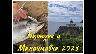 Балюзек и Максимовка 2023