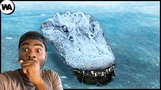 Never Pull a Frozen Crocodile Out of Ice REACTION