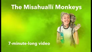 Meet the Misahuallí Monkeys