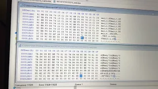 Курсы по чип тюнингу HEX редактор VS ChipExplorer