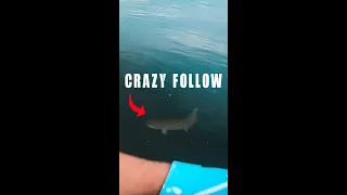 HUGE MUSKY 😳 ULTIMATE FREAKOUT!!!