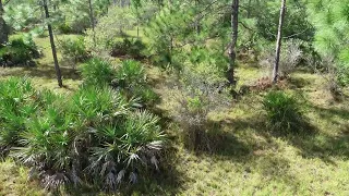 2580 Decker Ave, Orlando, FL 32833 1.04 acres directly backs to the Hall Scott Preserve and Park.