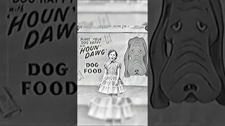 #HappyWomensHistoryMonth! Watch Brenda’s rendition of "Hound Dog" on Ozark Jubilee in 1956 at 12 yo!