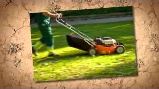 Saffron Walden Gardening Services-Local Gardening Services in Saffron Walden