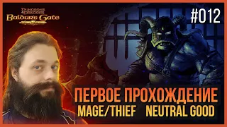 012. Прохождение BG1 впервые и вслепую. Mage/Thief. Neutral Good.