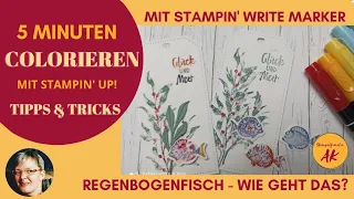 5 Minuten Colorieren mit Stampin' Up! - Stampin' Write Marker - Mehrfarbig stempeln - Wie geht das?