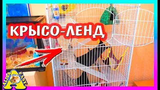 ЗООПОКУПКИ / ГЕНЕРАЛЬНАЯ уборка у КРЫС / КРЫСОЛЕНД / Alisa Easy Pets