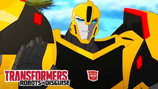 Bumblebee Arrives! | Robots in Disguise | Compilation | Animation | Transformers Official