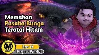 Mencuri Pusaka Bunga Teratai Hitam - Perfect World Episode 13 sub indo - alur cerita donghua