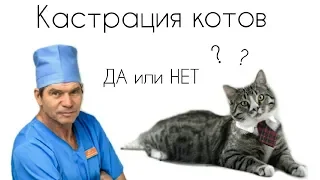 КАСТРАЦИЯ//Да или Нет