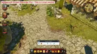 Divinity Original Sin EE - The Talking Statues