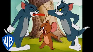 Tom & Jerry em Português | Brasil | Parecem Irmãos | WB Kids