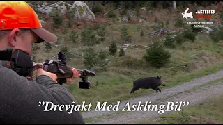 "Drevjakt Med Askling Bil I Östergötland" (Följ med jaktfeber på Drevjakt)