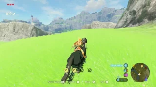 Taming a Black Horse - Zelda Breath of the Wild