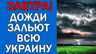 ПОГОДА НА 23 ОКТЯБРЯ : ПОГОДА НА ЗАВТРА