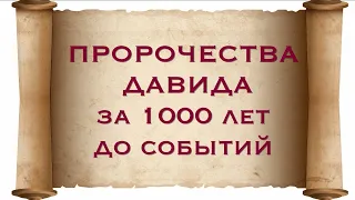 Пророчества Давида за 1000 лет до событий - мой маленький влог. Элин Дворик