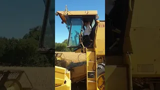 HARVESTING OATS USING MACHINERY