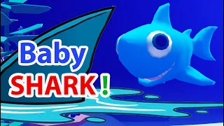 Baby Shark Song | Baby Shark Doo Doo Doo | Nursery Rhymes