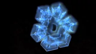 Masaru Emoto's Experiment in Gratitude