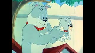 Tom & Jerry | Love That Pup