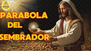 La parábola del sembrador - mensaje de JESUS #amor #fe #jesus #reflexion