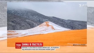 Вперше за майже 40 років у пустелі Сахара випав сніг