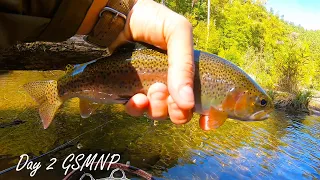 Fly Fishing ABRAMS CREEK in Cades Cove (Day 2 - GSMNP)