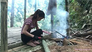 Girl survive in the rain and fog - catching crabs at the waterfall,create shelter | MsYang Survival